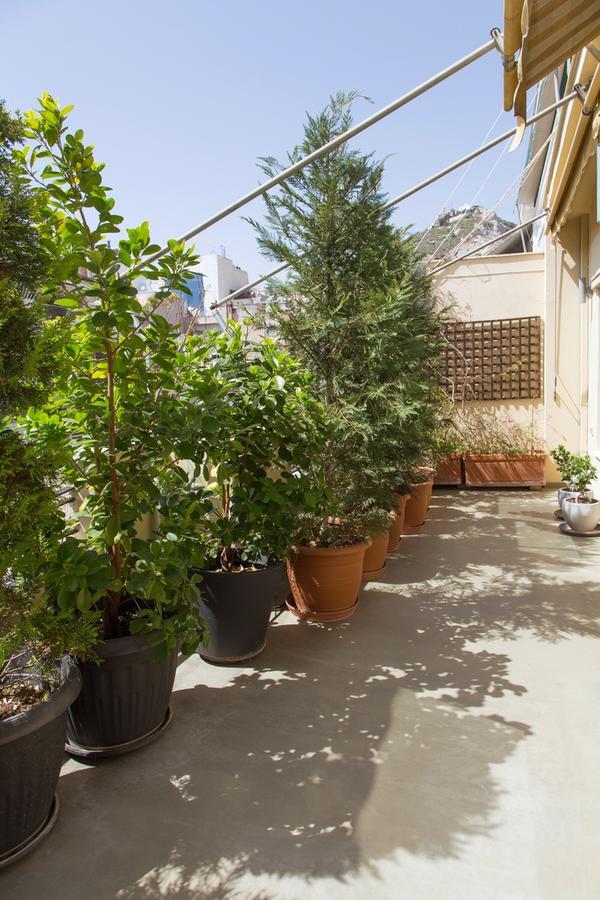 Beautiful Penthouse In Athens With Outside Jacuzzi Apartment Ngoại thất bức ảnh